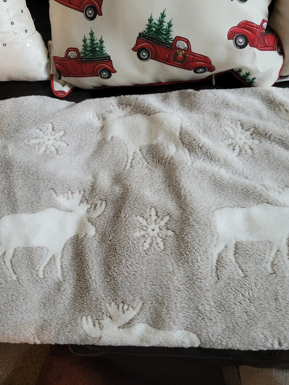 Holiday Decorative Throw Pillow Set & Throw Blanket